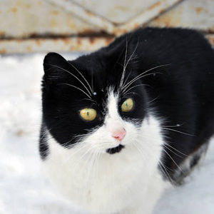 Meet your Posher, Lorissa